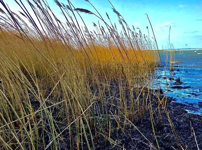 Appartement Foerdekoje Laboe