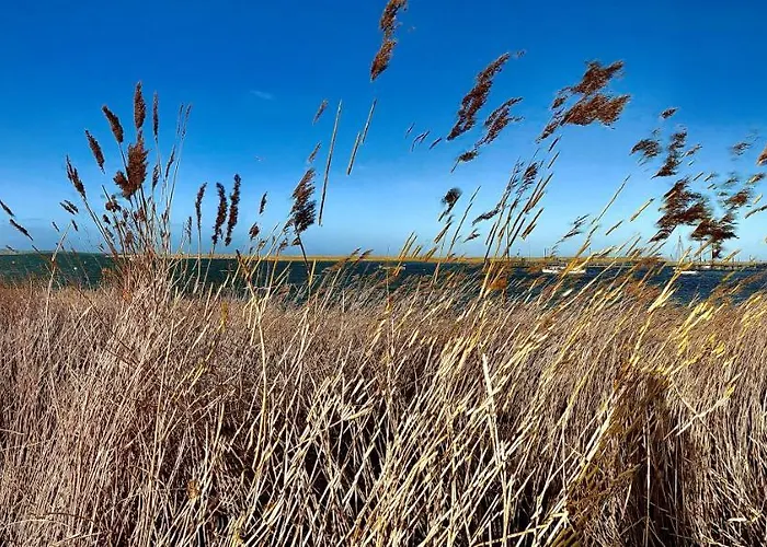 Apartment Foerdekoje *